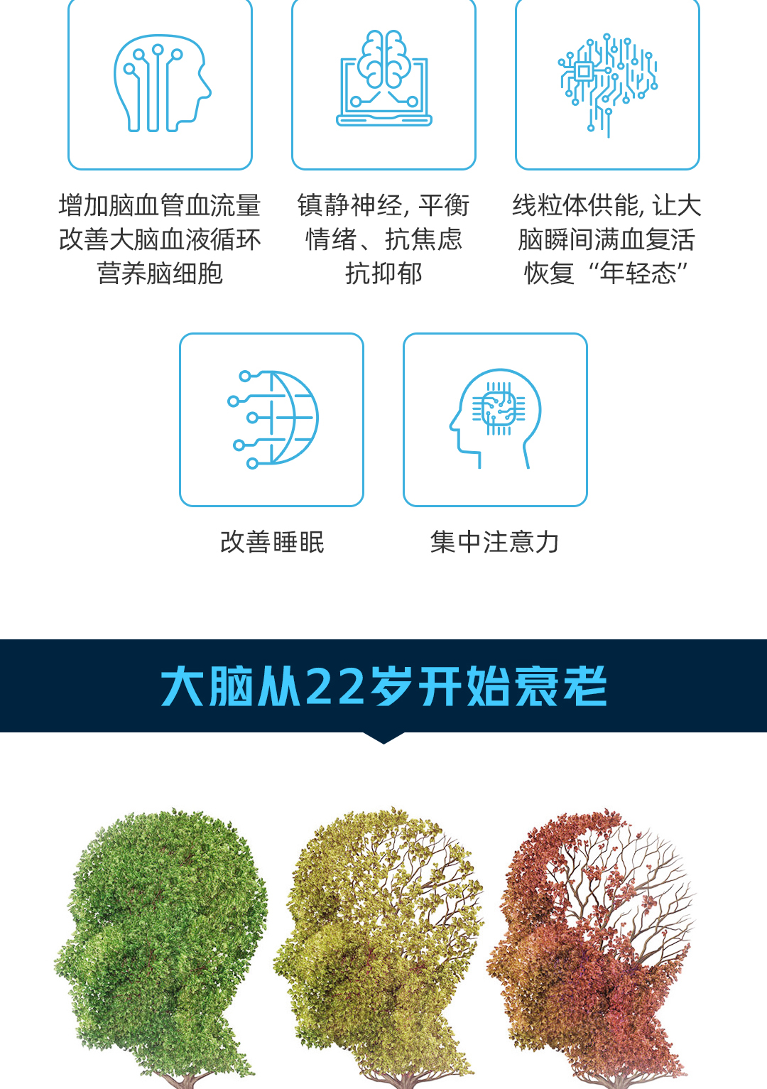 神经营养套餐-消费者new231220_03.jpg