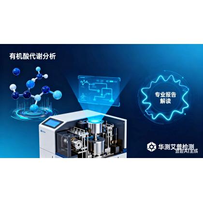 全套有机酸代谢分析（尿液）